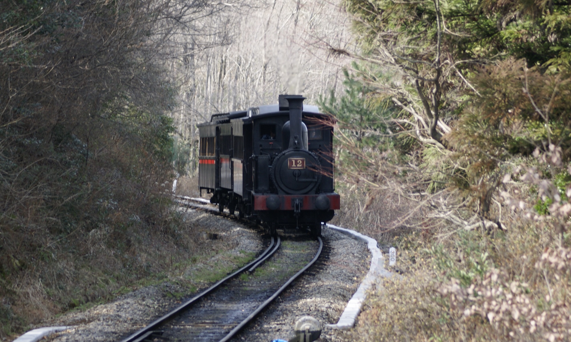 171104-bisai1-1.jpg